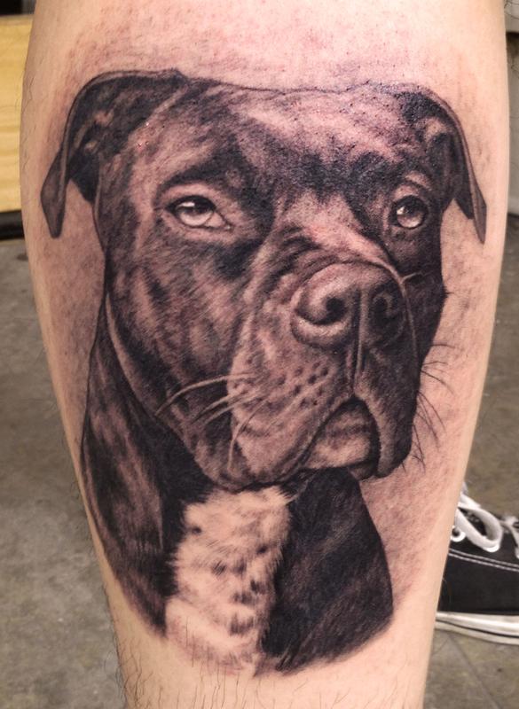 Tattoos - Pit bull portrait - 80641